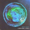 Confusing World - Single