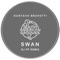 Swan (DJ PP Remix) - Gustavo Bravetti lyrics