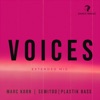 Voices (Extended Mix) - Single