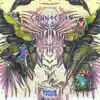 Connection (Soul of Zoo Remix) - Single album lyrics, reviews, download