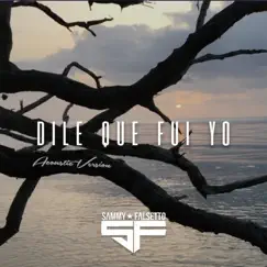 Dile Que Fui Yo (Acoustic Version) Song Lyrics