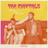 The Maytals - 54-46 That's My Number