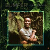 Bumper - Single