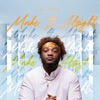 Make It Alright - Single