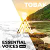 Stream & download Essential Voices, Vol. 3 (DJ Mix)