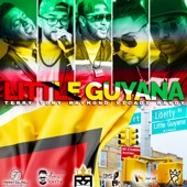 Little Guyana artwork