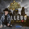 Llego El Amor - Single