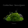 Caroline Shaw: Evergreen album lyrics, reviews, download