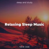 Relaxing Sleep Music: Long Playlist of Relaxing Soft Piano Music to Sleep and Study artwork