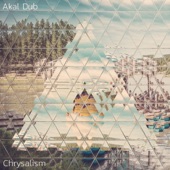 Akal Dub - For Me and You