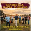 Venezuela, Gaita y Llano - Single