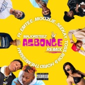 Asbonge (Remix) [feat. Emtee, Moozlie, Seekay, Toss, Roiii & Horid The Messiah] artwork