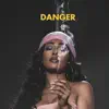 Danger (feat. Nitty Scott & Alexandra Stan) - Single album lyrics, reviews, download
