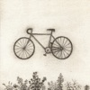 Bicycle - Single