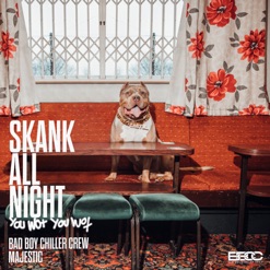 SKANK ALL NIGHT cover art