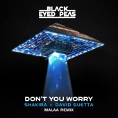 DON'T YOU WORRY (feat. Shakira) [Malaa Remix] artwork