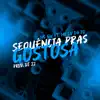 Stream & download Sequência Pras Gostosa (feat. Mc Lv Da Zo) - Single