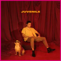 Juvenile by Hugo Helmig album reviews, ratings, credits