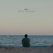 Big Sleep (Sped Up) artwork