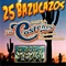 La 4x4 - Banda los Costeños de Zirándaro Guerrero lyrics