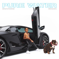 PURE WATER cover art