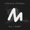 All I Want - Angelo Ferreri lyrics