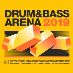 DRUM&BASSARENA 2019 cover art