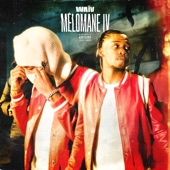 Mélomane IV artwork