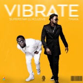 Vibrate (feat. Timaya) artwork