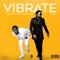 Vibrate (feat. Timaya) artwork