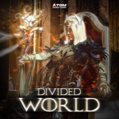 Divided World artwork