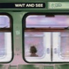 Wait and See - Single