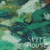 Out of Luck by Spite House