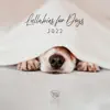 Lullabies for Dogs 2022: Sleep Sounds for Dogs, Soothing Music to Help Your Puppy Go to Sleep at Night, Relaxation Bedtime Songs album lyrics, reviews, download