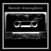 Bwindi Atmosphere - Single