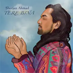 Tere Bina - Single by Sherjan Ahmad album reviews, ratings, credits