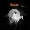 Teslim: The Energy Still Lives in Me album lyrics, reviews, download