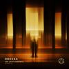 The Last Goodbye: Remixes No. 1 - EP - ODESZA