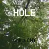 Hole song lyrics