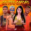 Stream & download Cai pro Cafofo - Single