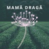 Mama Draga - Single