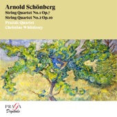 String Quartet No. 2 in F-Sharp Minor, Op. 10: IV. Entrückung. Sehr langsam artwork