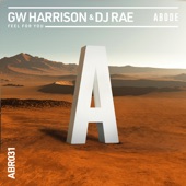 GW Harrison, DJ Rae - Feel For You - Extended Mix