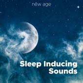 Sleep Inducing Sounds - Powerful Mental Massage Brain Music for Falling Asleep artwork