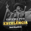 Gaúcha por Excelência - Single