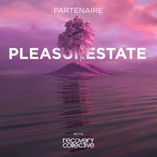 Pleasurestate - Single by Partenaire