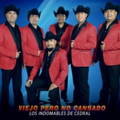 Viejo Pero No Cansado by Los Indomables De Cedral