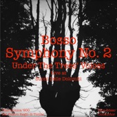 Symphony No. 2  "Under the Trees' Voices": V. Finale, Presto, Between Men and Trees (Live) artwork