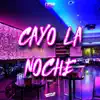 Cayo la Noche (Remix) song lyrics