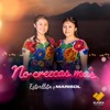 No crezcas más - Single